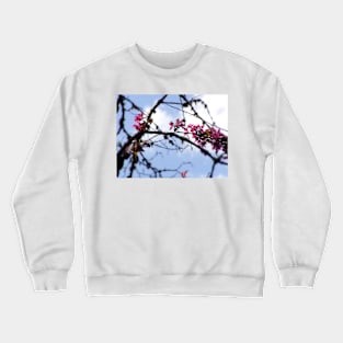 red Malus Radiant crab apple blossoms #8 Crewneck Sweatshirt